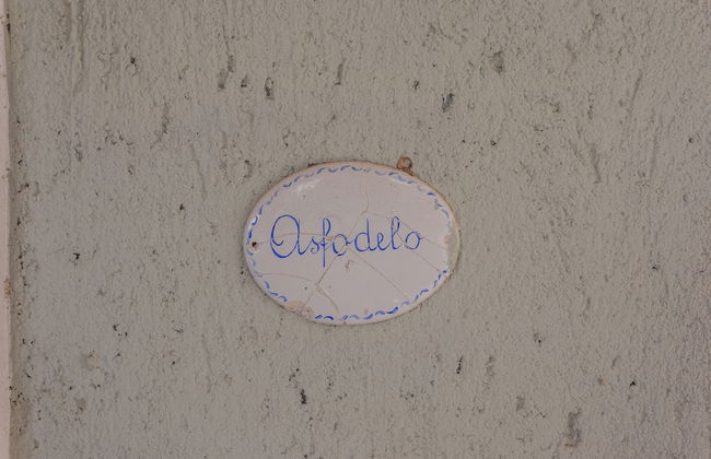 Sa Domo e Aurelia - Foto 62