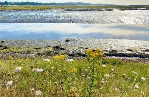 Holly Tree Cottage - 3 bedrooms and large garden with optional glamping double outside - Foto 61