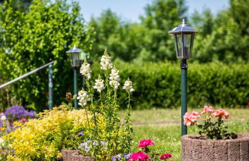 Schoene Ferienwohnung in Damshagen an der Ostsee - Foto 63