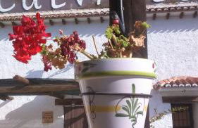 Cueva El Haro - Photo 26