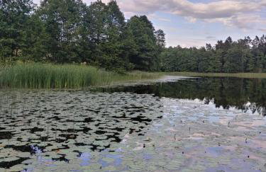 Leśny Reset - Foto 24