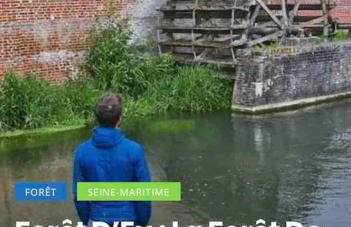 Chouet mon appart - Foto 10