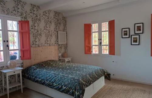 O Salgueiral - Foto 32