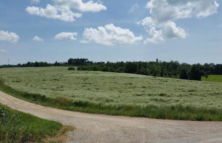 Agriturismo Podere Tresa - Photo 28