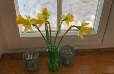 Berghaus Carlsfeld - Foto 55