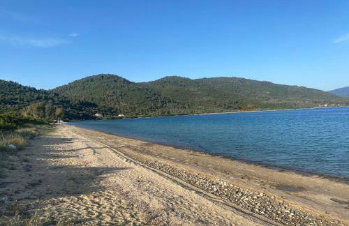 Maurizio's Villa - Foto 64