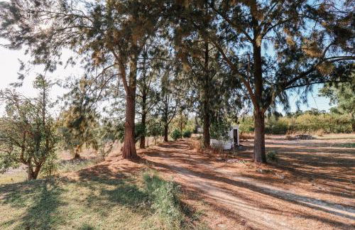 Fantástica Casa de Campo com Piscina perto de Lisboa - Foto 37