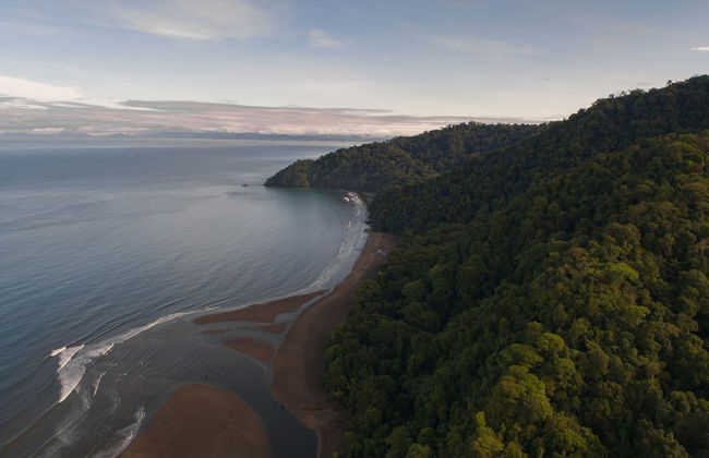 Irana Pacific Hotel - Photo 10