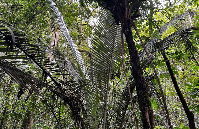 Barbas Bremen Nature Reserve Tour - Photo 7