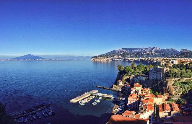 Diamond Suite - Photo 47