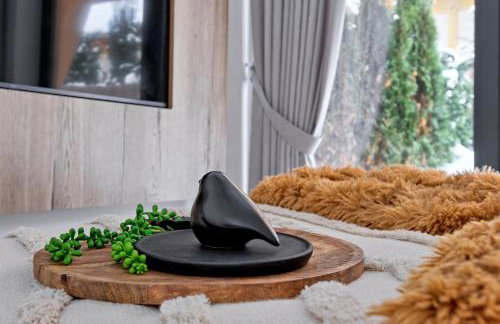 Apartament Morskie Oko, Odkryj-Zakopane - Foto 45