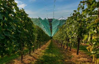 Villa Toscana with jacuzzy - Foto 44