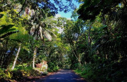 Aloha Ohia Hale 1 Bedroom Home by RedAwning - Foto 52