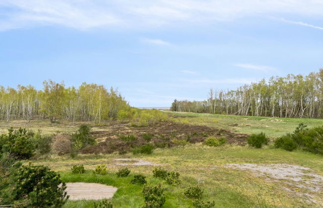 "Farah" - 275m from the sea - Foto 5