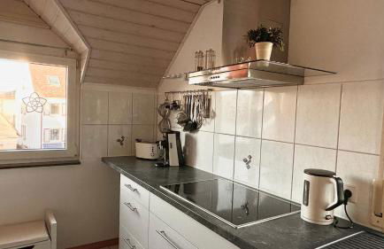 Ferienwohnung Regina mit traumhafter Aussicht - Foto 17