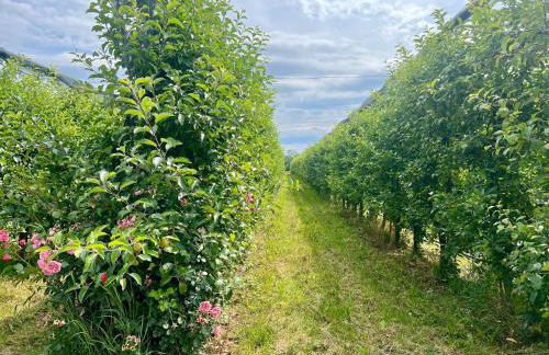 Casa del Sol - Foto 21