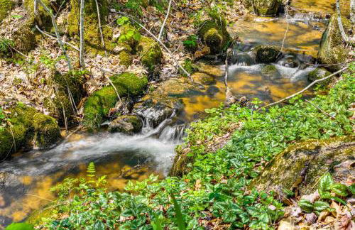 Hike, Fish and Ski Black Bear Cabin in Albany - Foto 23