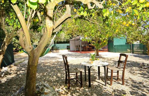 Lemon Garden Camper - Photo 18