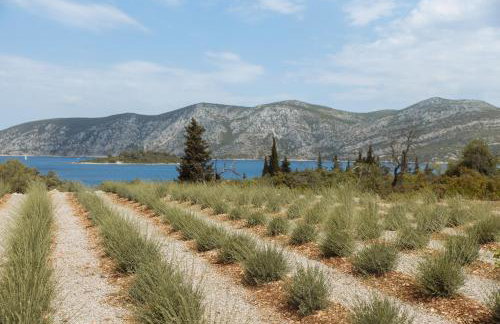 Kis Residence - Adults Only - Foto 12