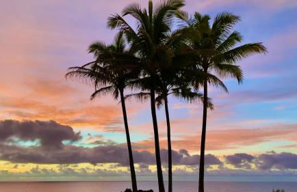 Tropical Zen Bungalow - Foto 14