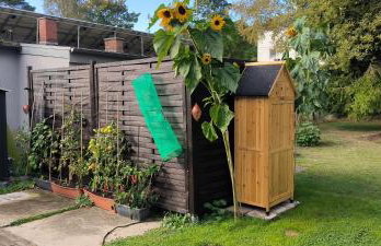 Ferienwohnung Strandparadies 11 - Photo 11
