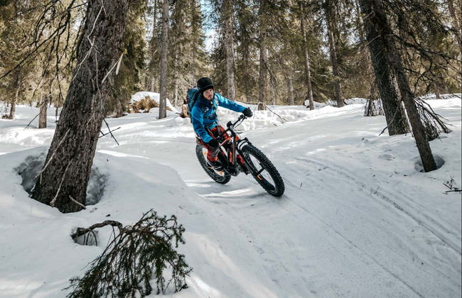 Pallas-Yllästunturi Electric Bike Tour - Foto 2