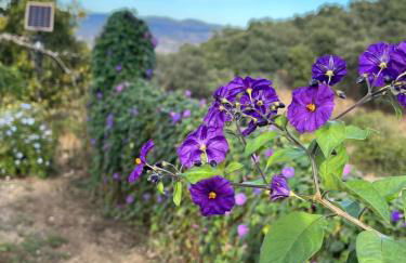 La Casa del Jardín - Foto 29