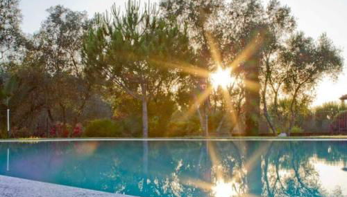 Agriturismo Il Riccio - Foto 2