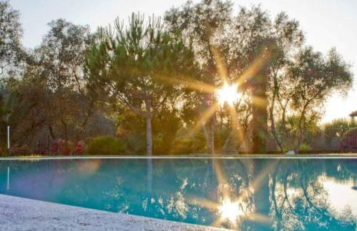 Agriturismo Il Riccio - Foto 2