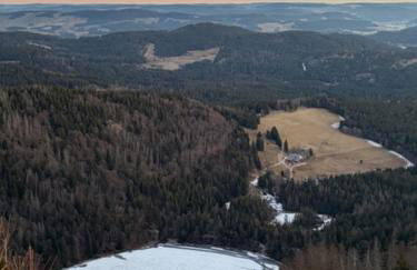 Ferienhaus am Bächle - Foto 32