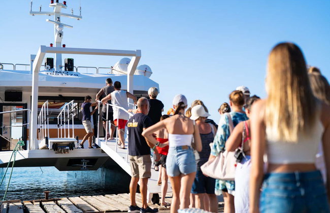 Paseo en barco con fondo de cristal por las islas Malgrats y Toro - Foto 12
