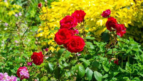 Rural Pet Friendly Apartment Near Salisbury - Foto 3