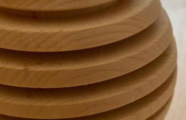 Bosc del Meneghì - Foto 48