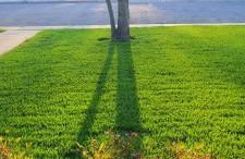 Charming Central Amarillo Retreat with a Jacuzzi - Photo 13