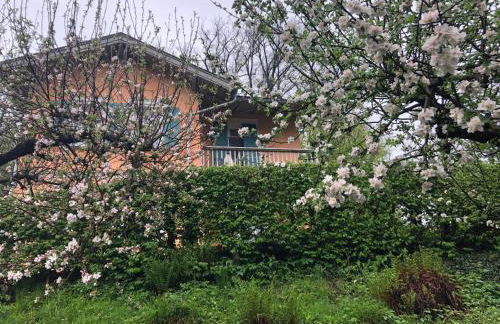 Ferienhaus Eisenach - Foto 6