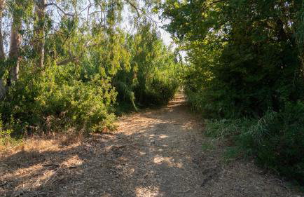 Goldener Strand 3-4 - Foto 11