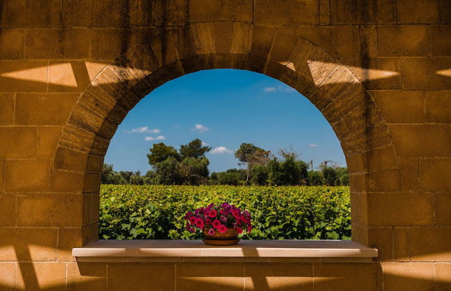 Tenuta Flora Maria - Foto 75