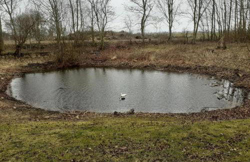 Exclusives Appartement auf Fehmarn - Foto 36