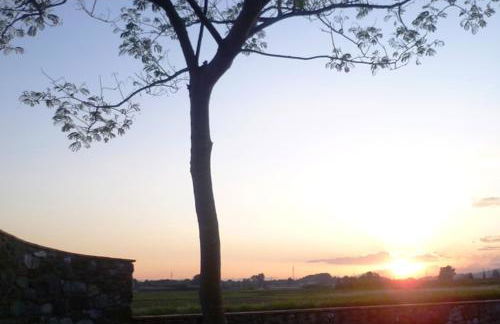 Agriturismo Podere dei kiwi - Foto 31