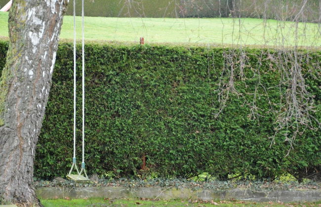 Delightful Holiday Home in Voeren near Forest - Foto 36