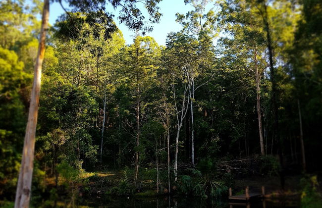 Carawirry Forest Escape - Foto 61