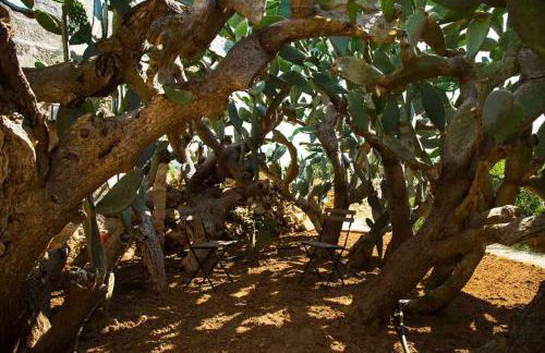 Masseria Celano - Foto 50