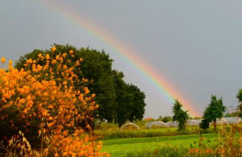 CASETTO ROSSO - Foto 59