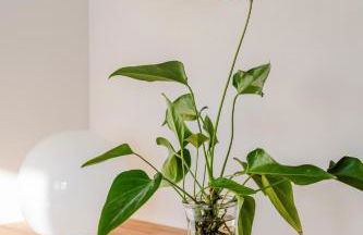 Charming top-floor apartment - Photo 13