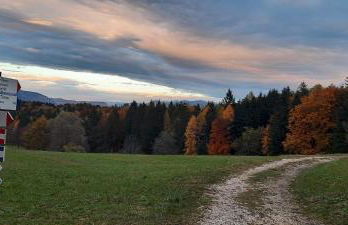 Appartamenti Paolo - Foto 23