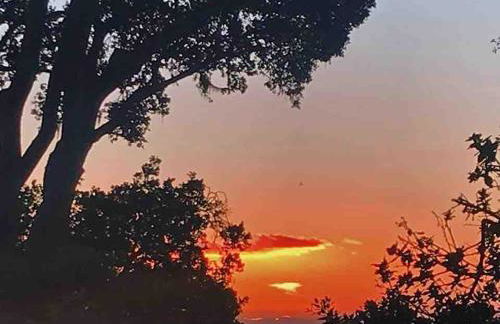 Aptos Coastal Studio Walk to Beach and Private Patio - Foto 15