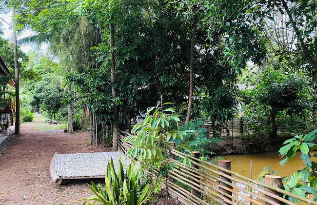 COCOA HOME - Photo 39