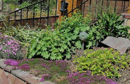 Ferienwohnung Am Steinchen - Foto 10