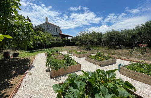 Fyllosia Villa Part of Cretan Retreat - Foto 36
