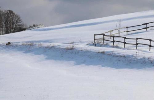 Ferienhaus in Obernburg am Edersee - Foto 73